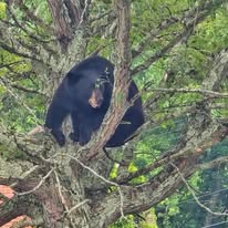 480231274_491525610659624_7821530596734562896_n